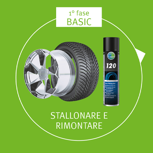 1 Stallonare Rimontare