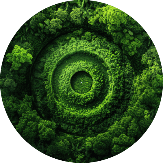 Albero Tunap Settori