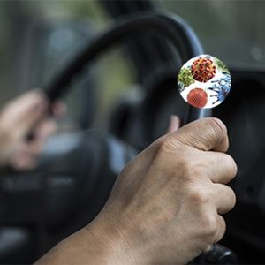 Batteri Funghi Muffe