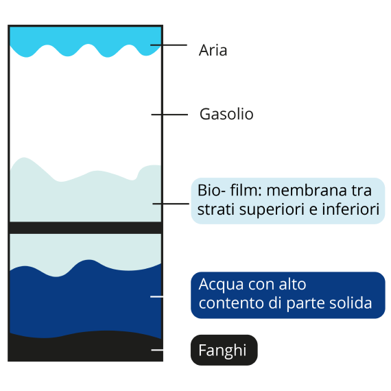 Proliferazione Batteri Carburante